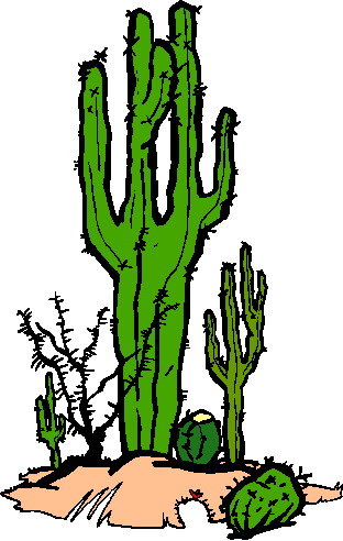Clip Art - Clip art cactus 133476