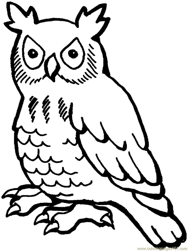 cartoon-owl-coloring-pages-cliparts-co