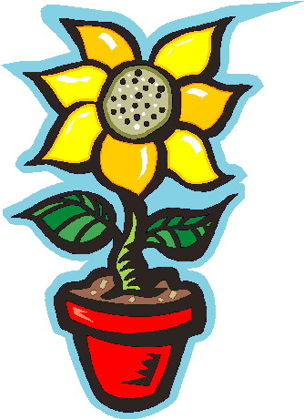 Clip Art - Clip art sunflower 790310