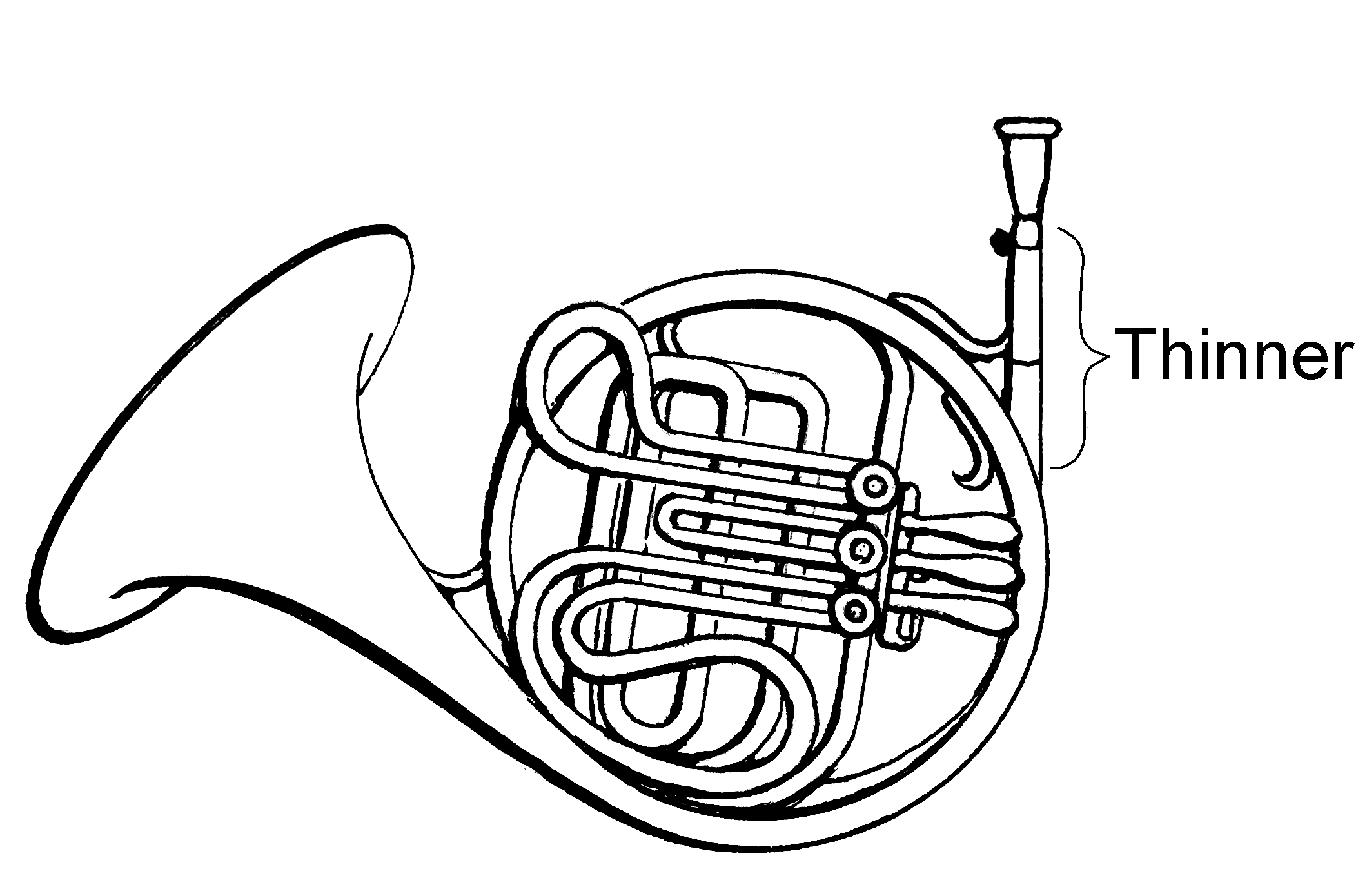 Pix For > French Horn Drawing