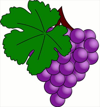 Free grapes-on-vine Clipart - Free Clipart Graphics, Images and ...