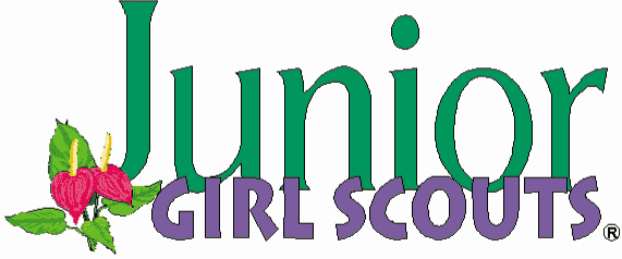 Pix For > Girl Scout Cadette Clip Art