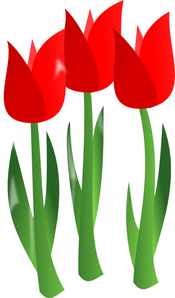 Red Tulips clip art - vector clip art online, royalty free ...