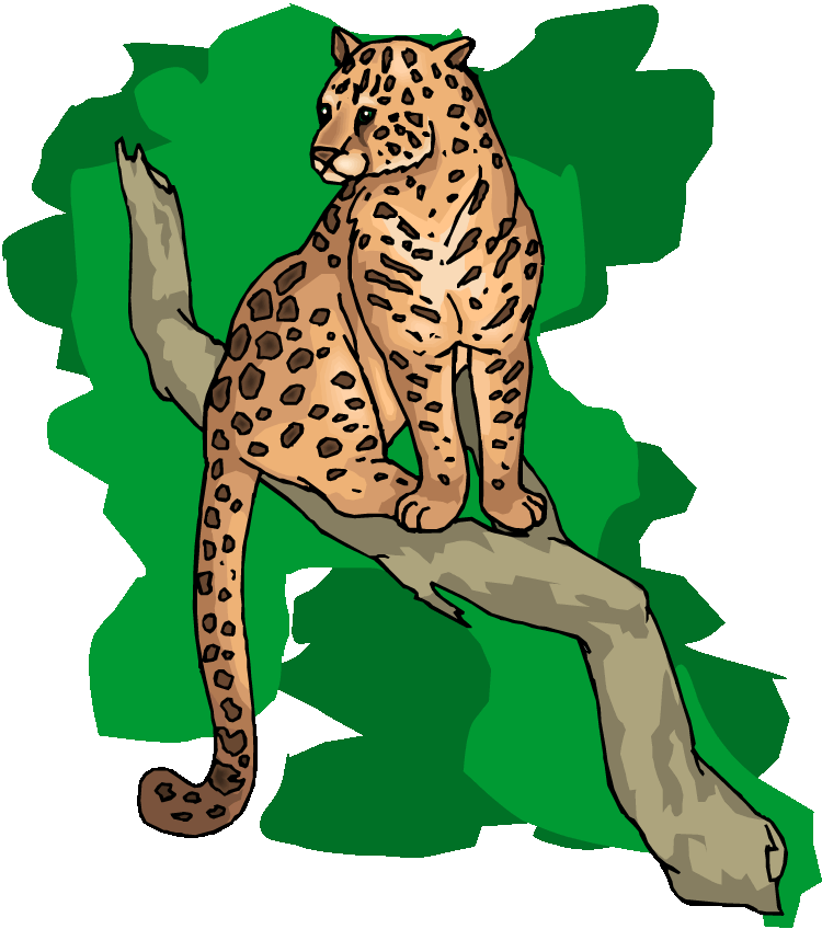 Free Cheetah Clipart
