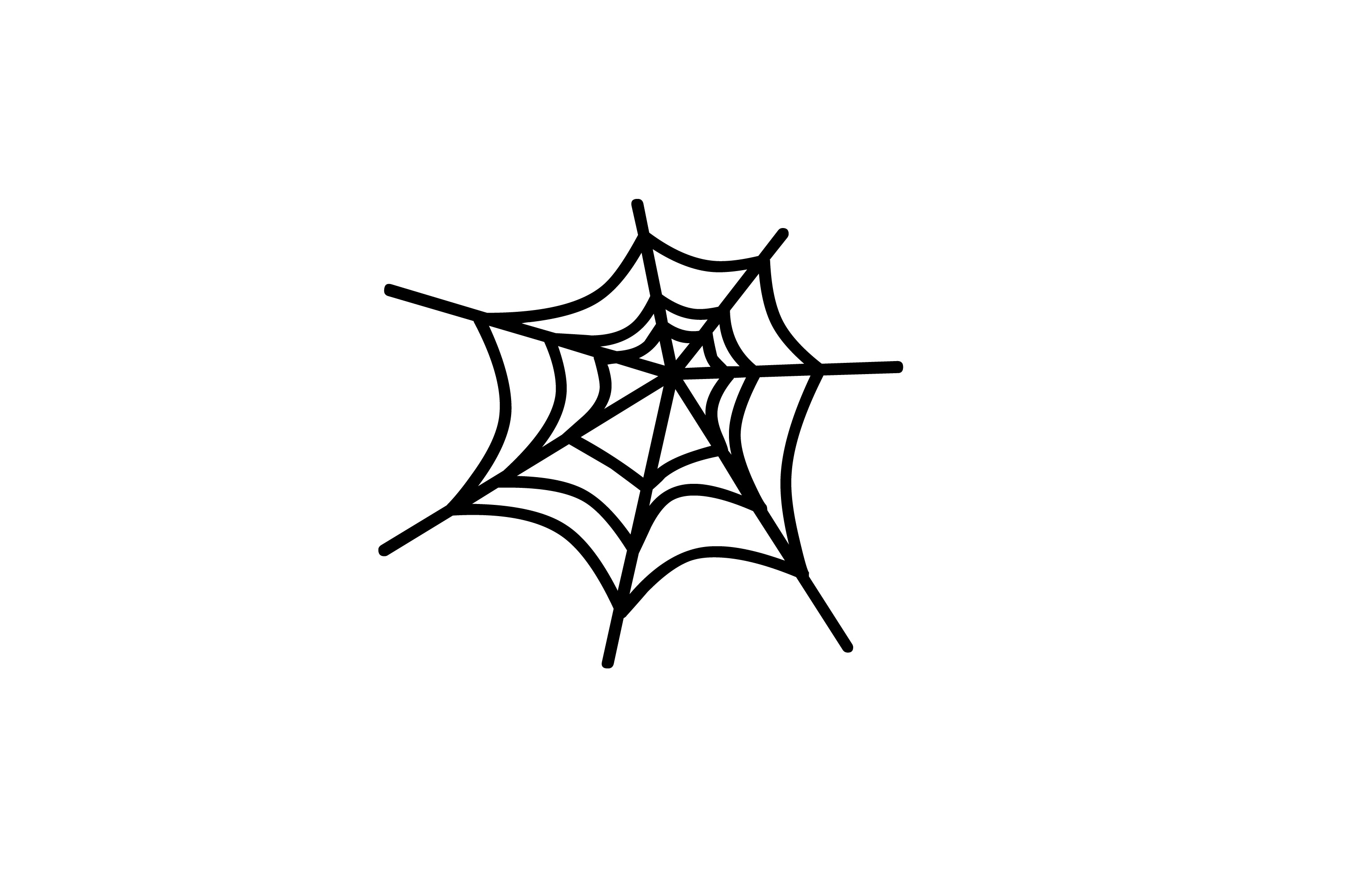 Pix For > Clip Art Spider Web