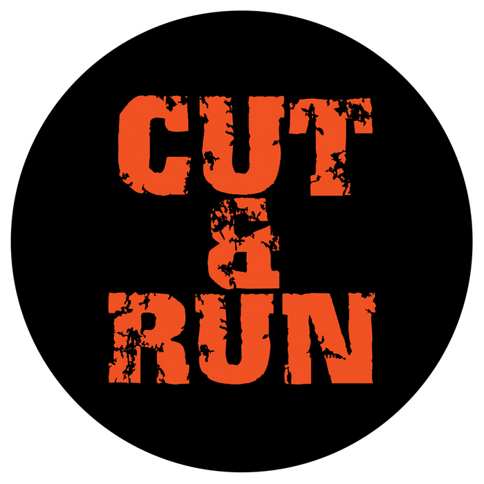 Magic Carpet by Cut & Run on MP3 and WAV at Juno Download