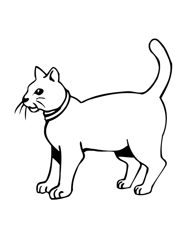 cat printable coloring in pages for kids number | thingkid.