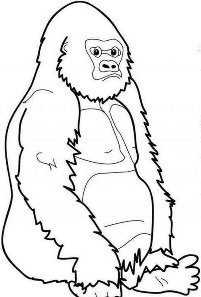 Sitting Bored Gorilla Coloring Page Coloringplus 240770 Gorilla ...