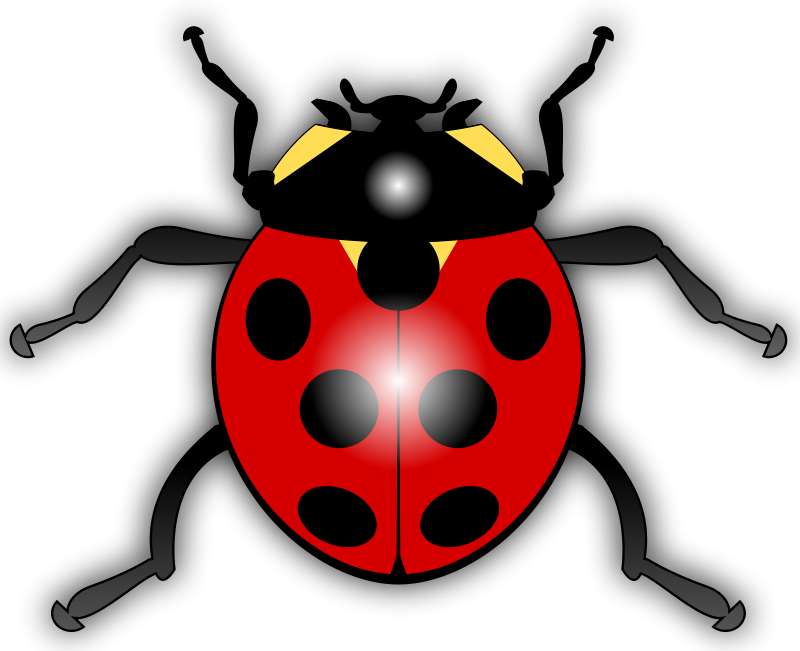 Beetle Clip Art Download