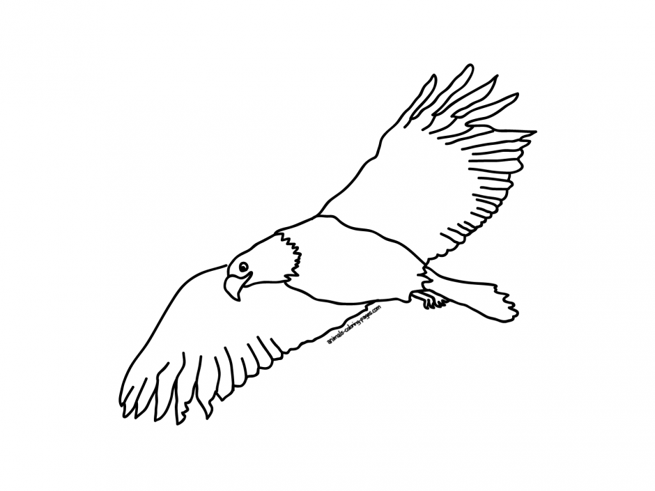 Peace Coloring Pages For Cute Children 217166 Flying Bird Coloring ...