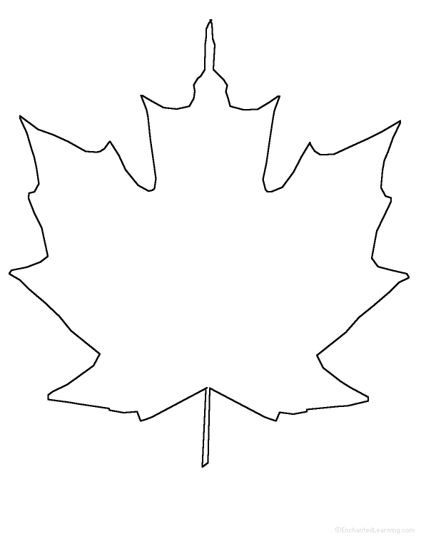 Maple Leaf Drawing Template - Gallery