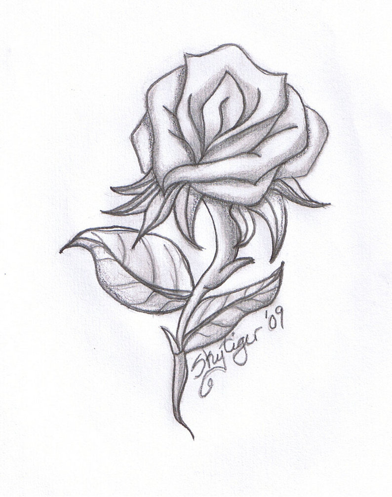 Rose Drawings In Pencil - Gallery