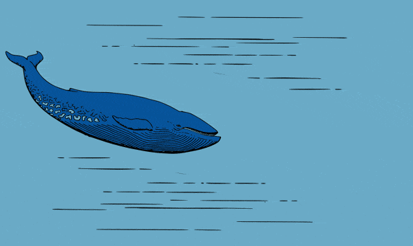 Blue Animated GIF