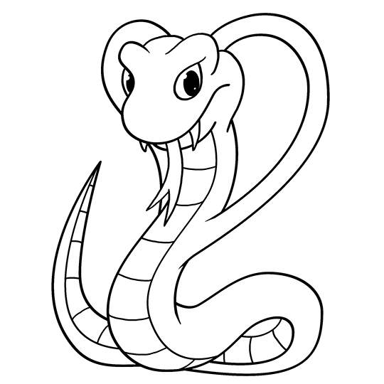 Cartoon Cobra Step by Step Drawing Lesson