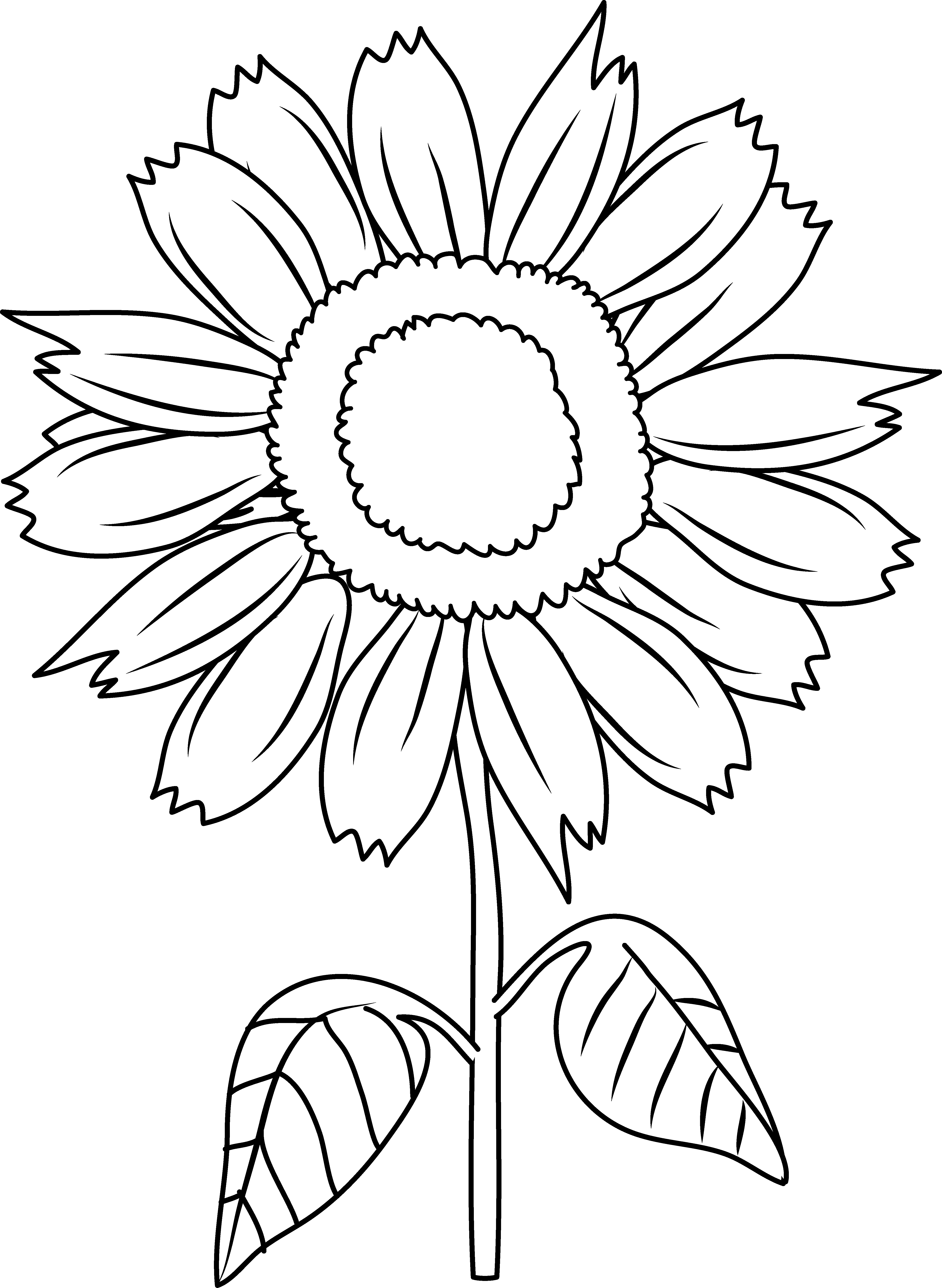 Pretty Sunflower Coloring Page - Free Clip Art