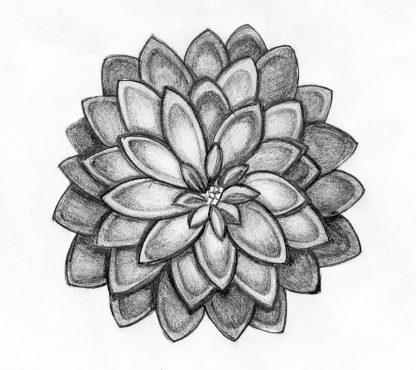 Drawing Flowers - Cliparts.co