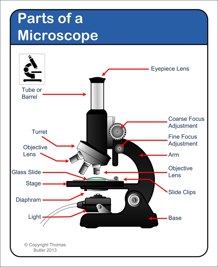 Microscope - diagram Tom Butler | Technical Drawing and ...