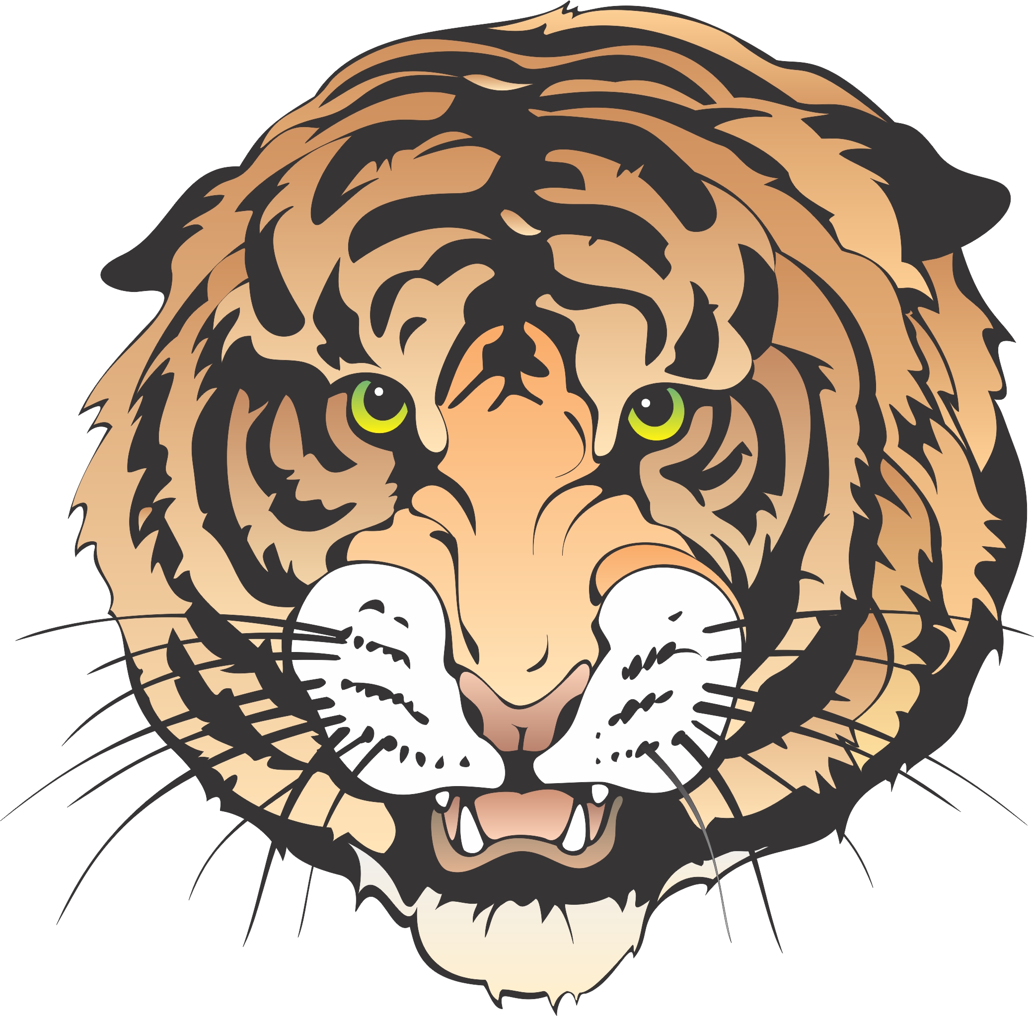 animated tiger clip art free - photo #43
