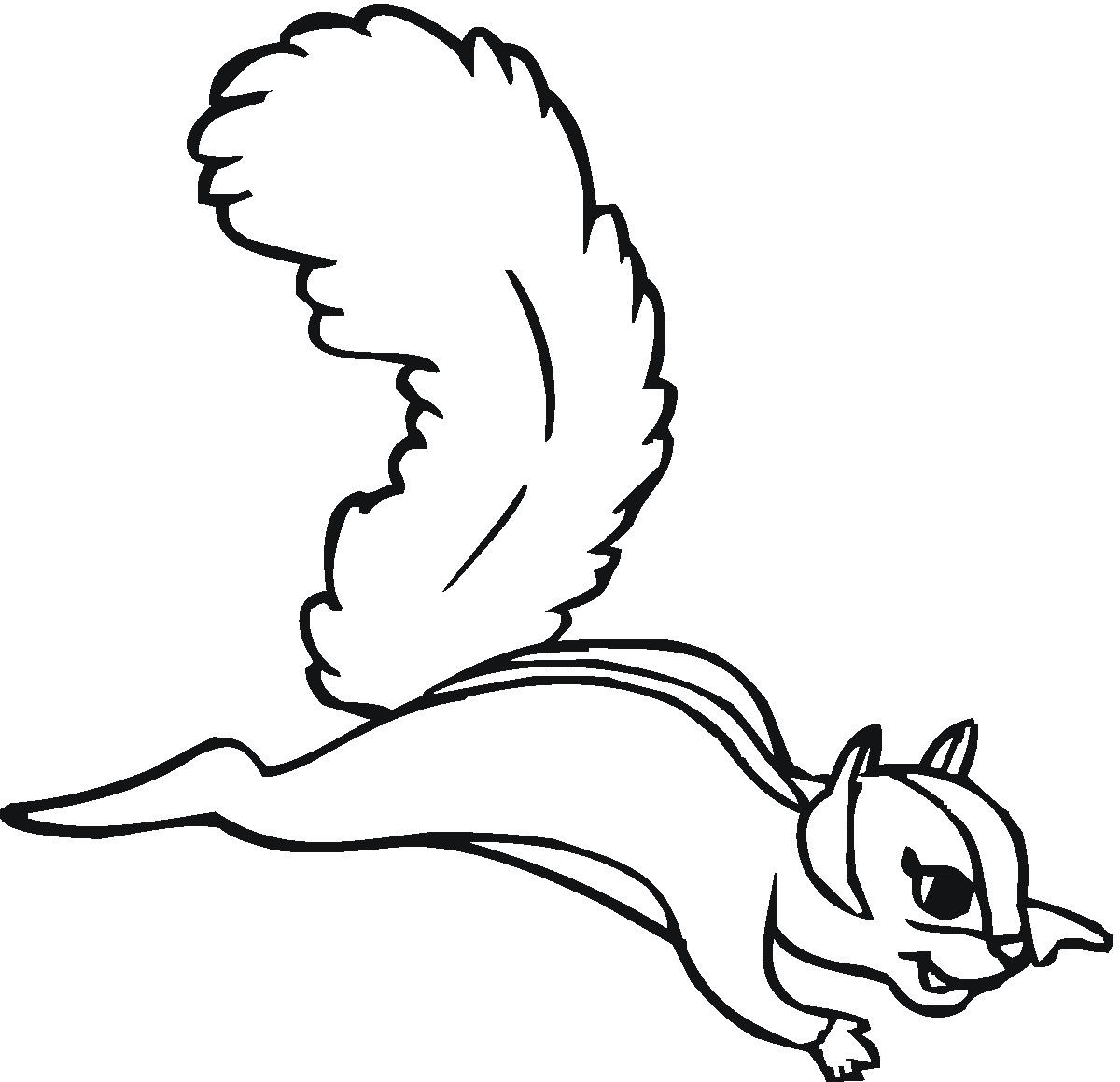 Inspirational Flying Squirrel Coloring Page | ViolasGallery.com