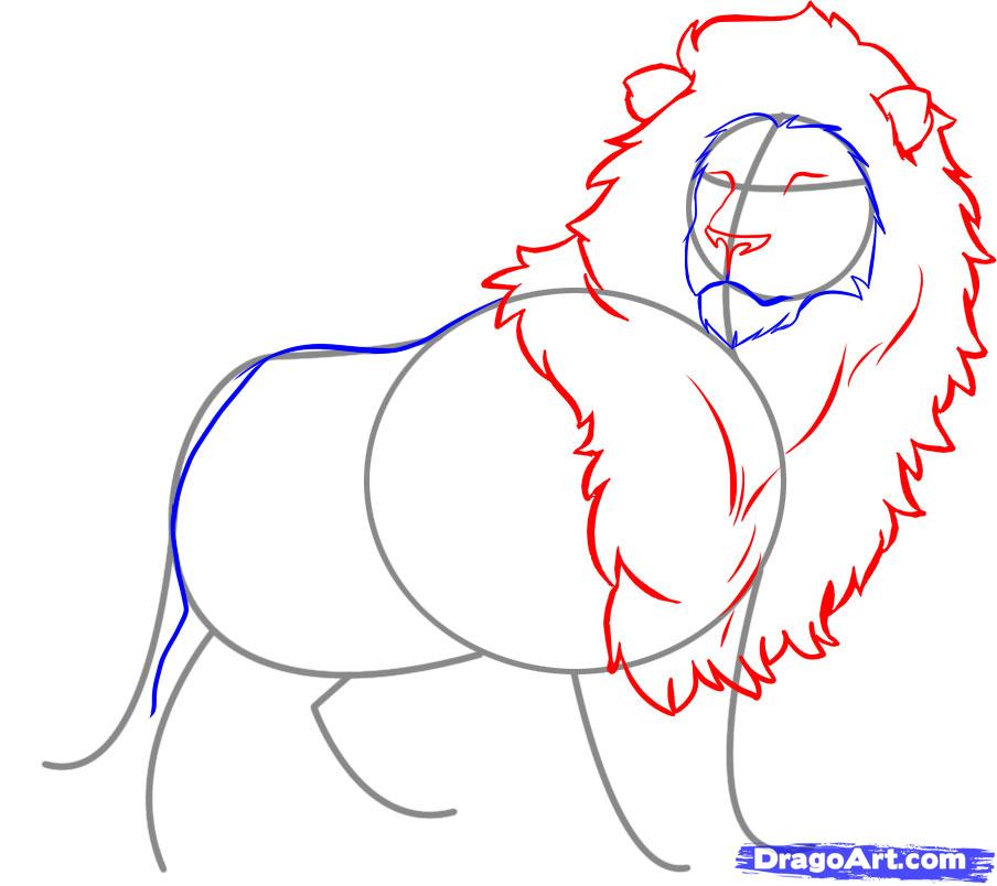 How to Draw a Lion, Step by Step, safari animals, Animals, FREE ...