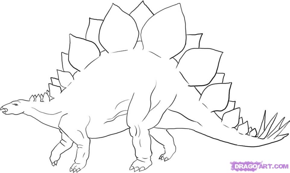 How to Draw a Stegosaurus, Dinosaur, Step by Step, Dinosaurs ...