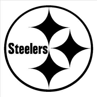 PITTSBURGH STEELERS LOGO BLING SHIRT RHINESTONES NFL FOOTBALL *SM ...
