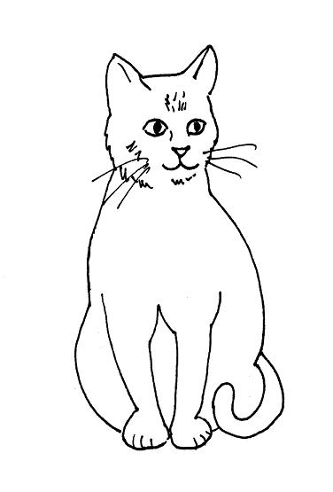 Cat Drawing