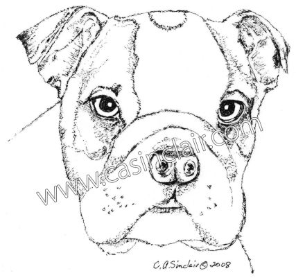 English Bulldog Puppy | Dog Portraits, Dog Paintings, Dog Drawings ...