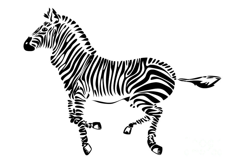 Zebra Drawings for Sale - ClipArt Best - ClipArt Best