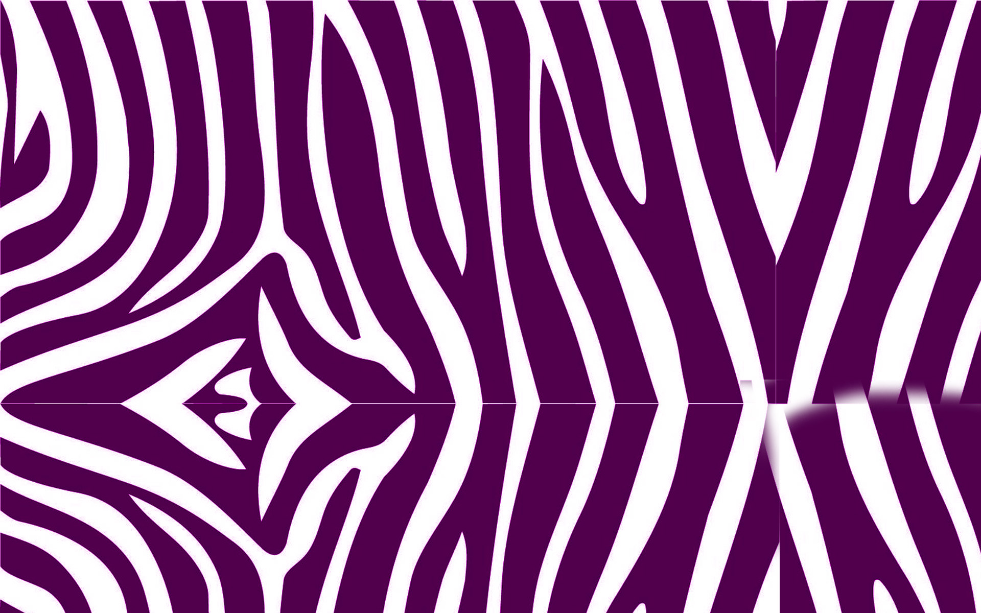 Zebra Print Wallpaper Pictures - Home Decor IdeasHome Decor Ideas