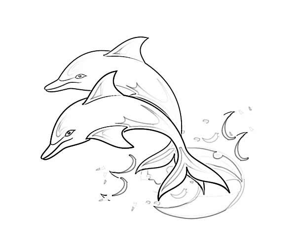 Dolphin line art page to color | Kids Play Color