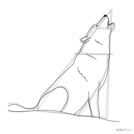 How to Draw a Howling Wolf: 6 Steps (with Pictures) - wikiHow