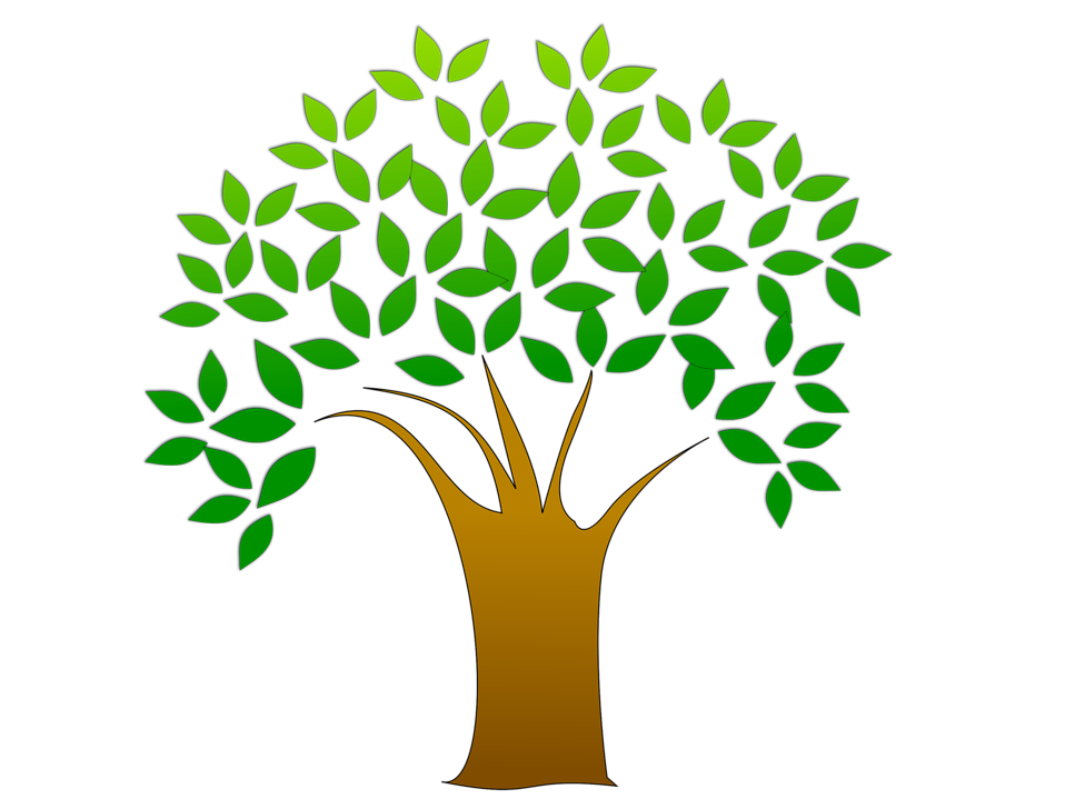 Tree Clip Art No Leaves Png Images & Pictures - Becuo