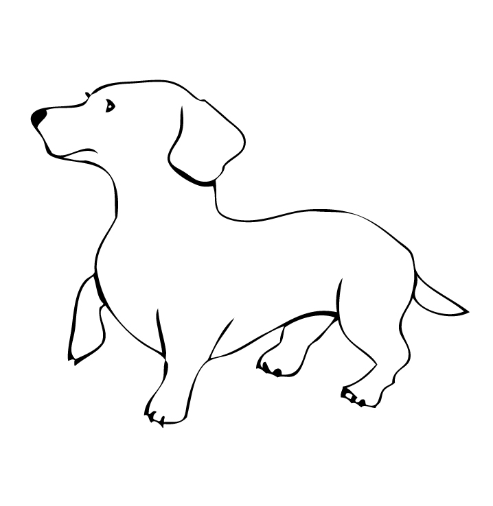 Dog Bone Outline Clipartsco