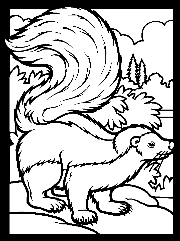 cartoon skunk Colouring Pages (page 2)