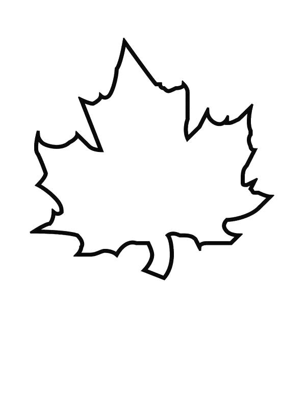 Coloring pages leaves - picture 7
