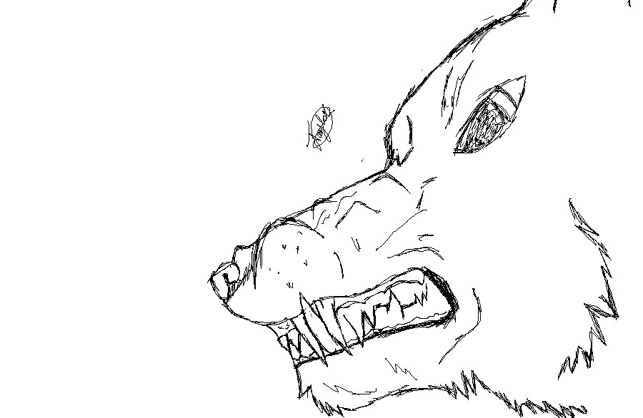Pix For > Wolf Head Drawing Outline