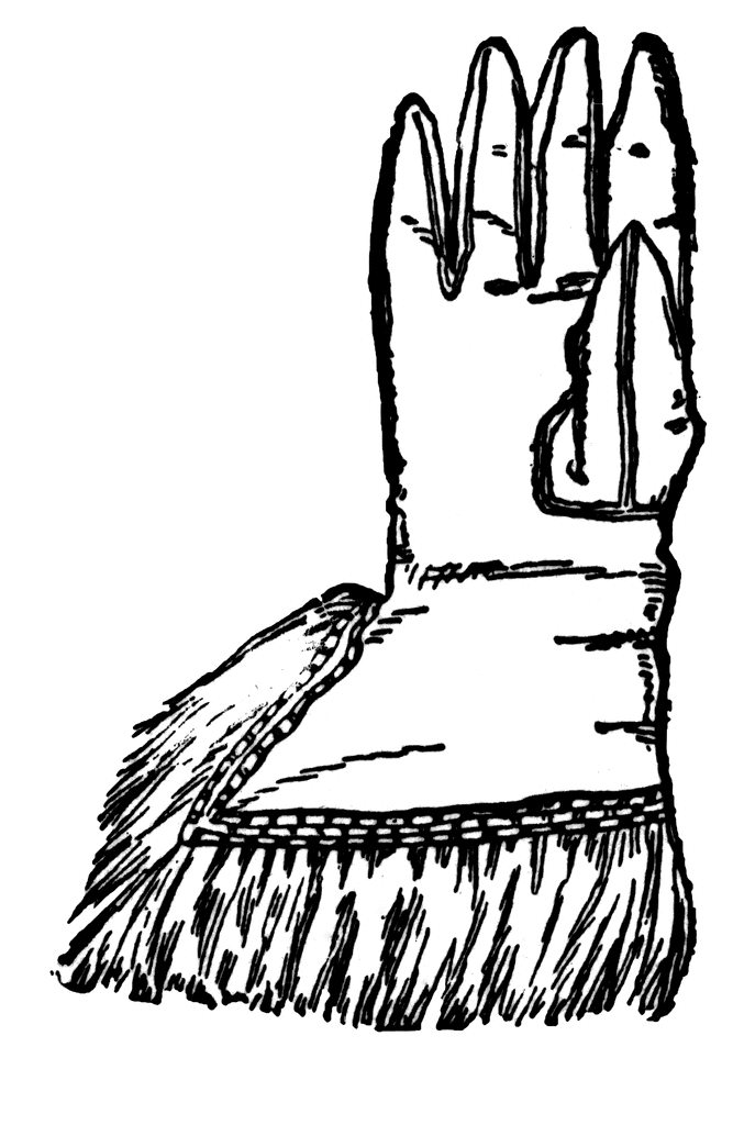 Glove of Oliver Cromwell | ClipArt ETC
