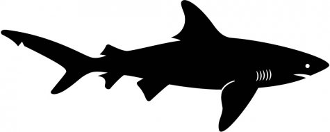 Shark Silhouette Tattoo - ClipArt Best