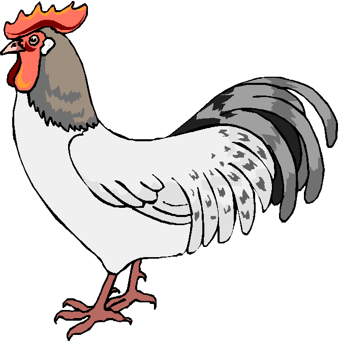 Chicken 20clipart | Clipart Panda - Free Clipart Images