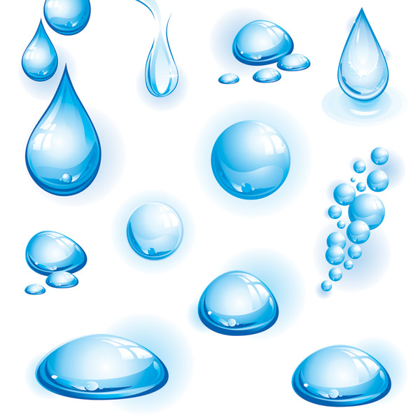 Different forms of water vector Free Vector / 4Vector