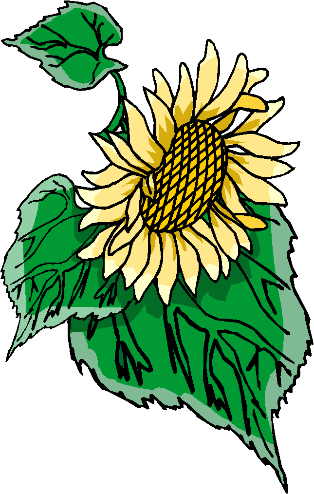 free clip art real flowers - photo #41