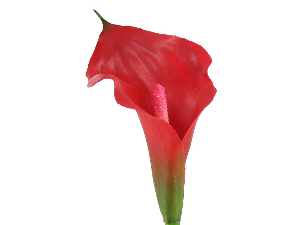 Red Mini Calla Lily | Shop Hobby Lobby