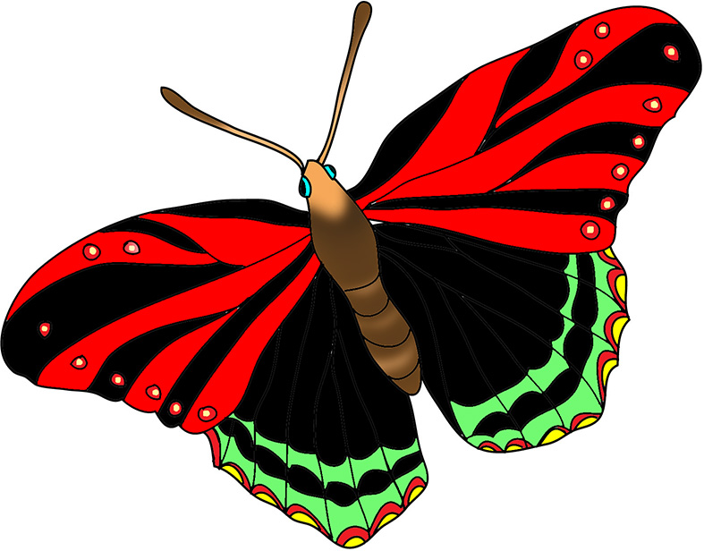 Beautiful butterfly images