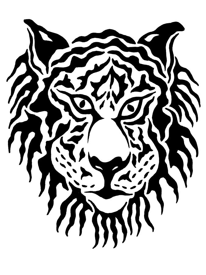 Shaggy Tiger by Beth Akerman - Shaggy Tiger Drawing - Shaggy Tiger ...