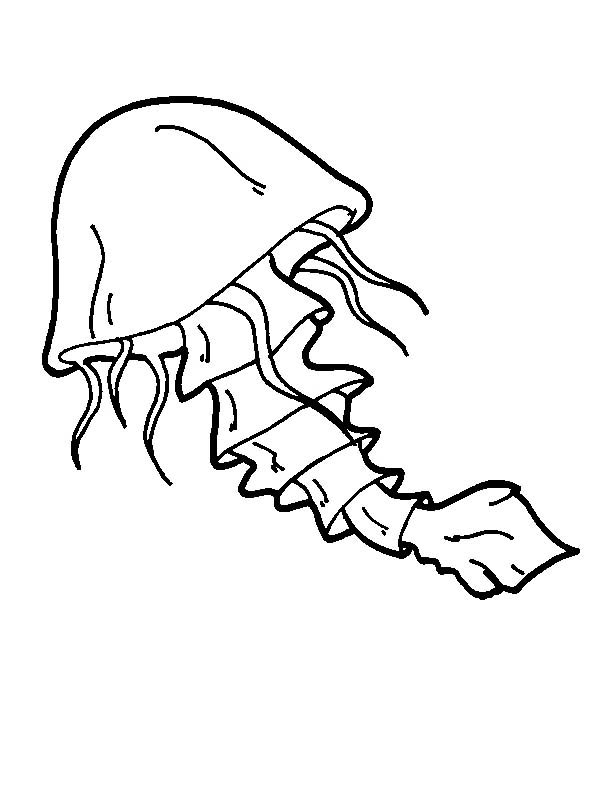 jellyfish show Colouring Pages (page 2)