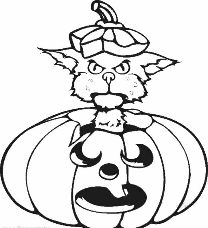 Halloween Cat In Pumpkin Coloring Page |Halloween coloring pages ...