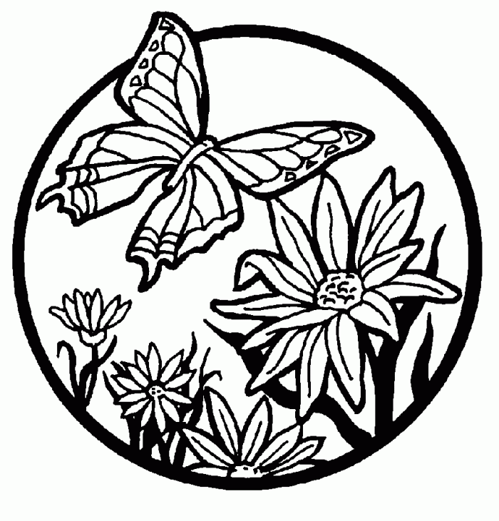 Butterfly Coloring Pages Black And White | 99coloring.com