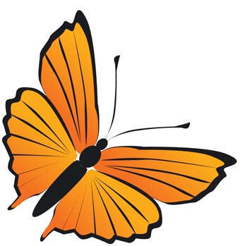 Butterfly Vector 20 - Download free Animal vectors