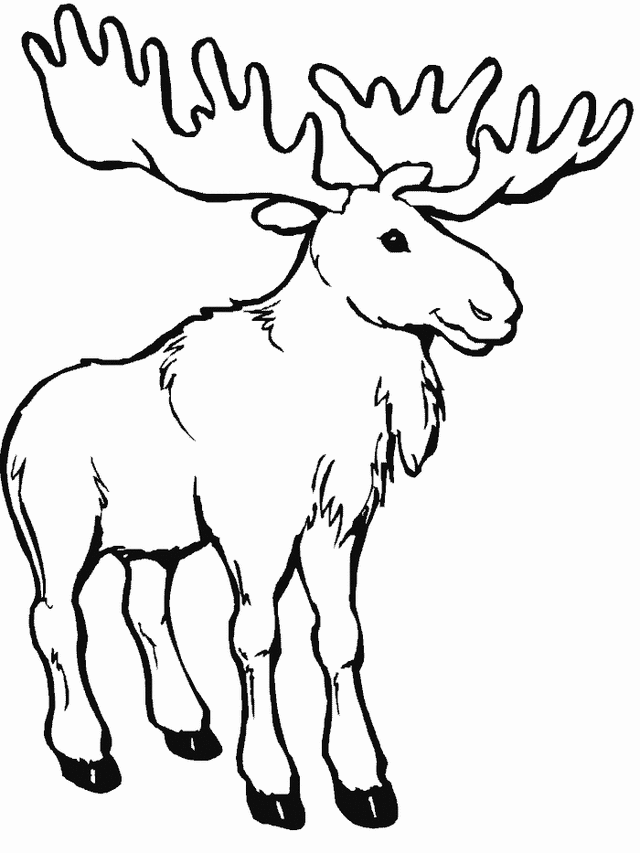 Moose coloring page - Free Printable Coloring Pages - ClipArt Best ...